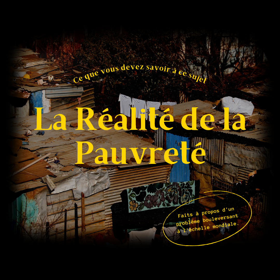 Visuel 1 sur Pauvreté