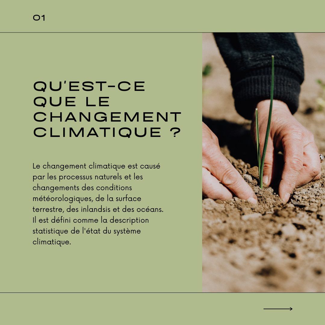 Visuel 2 sur l'écologie