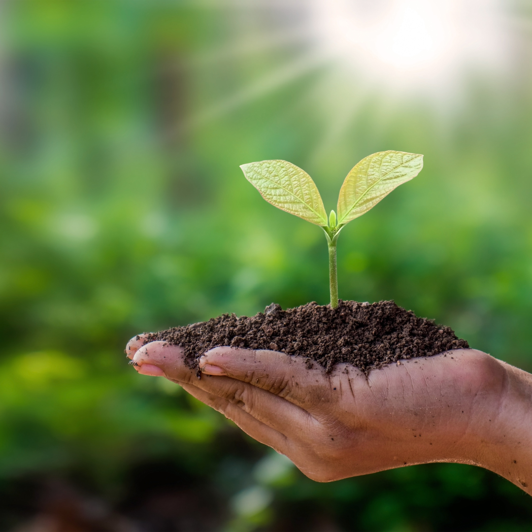 Description image 20