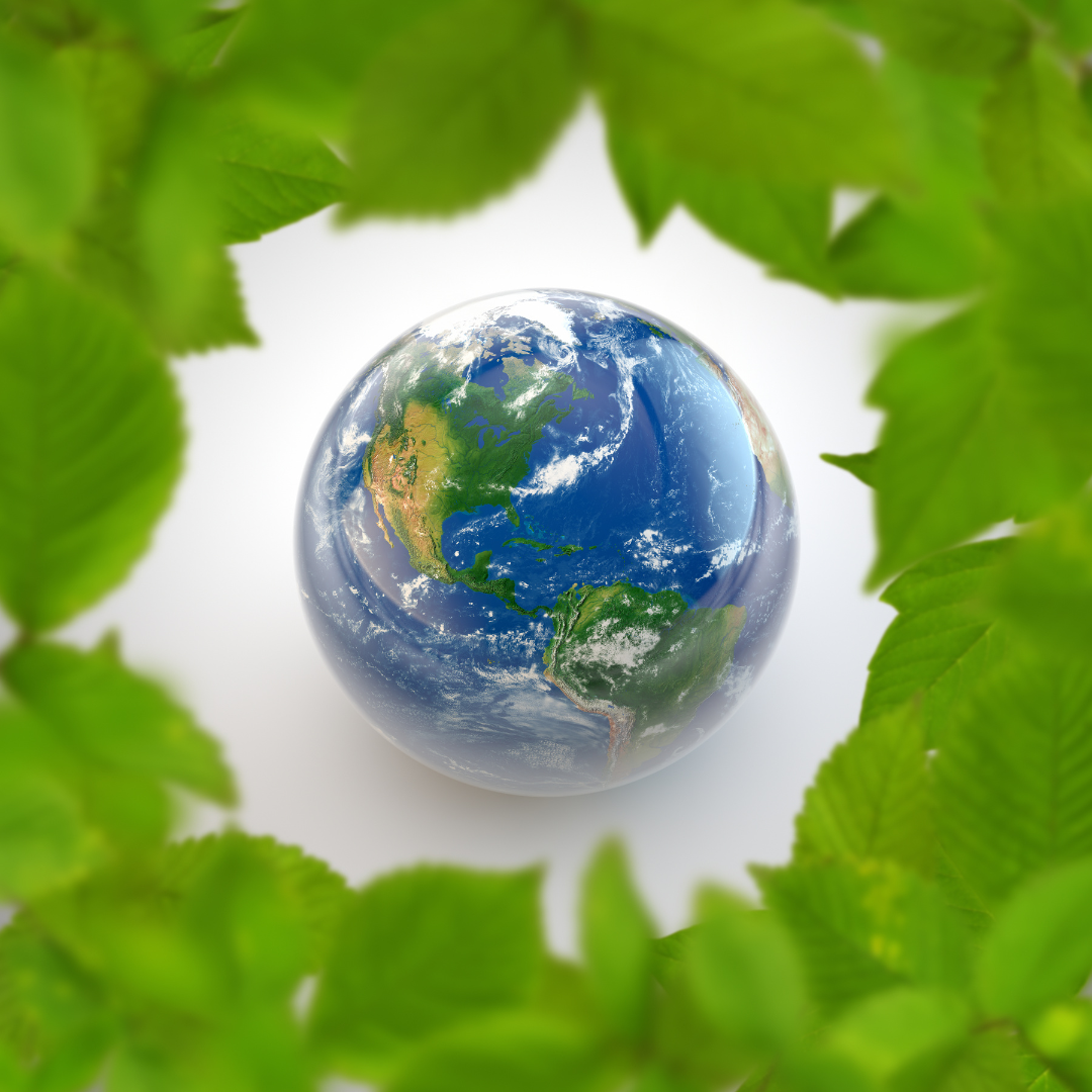 Description image 25